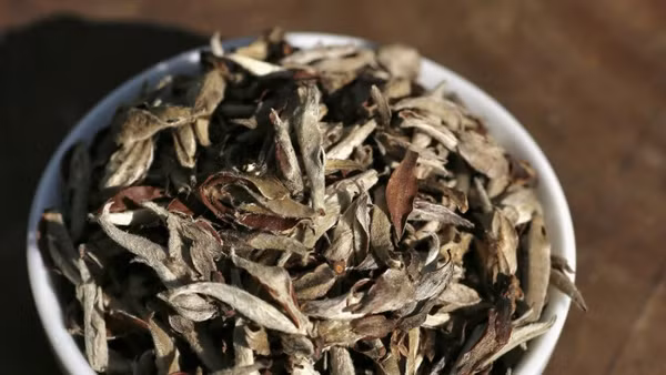 Sản phẩm chè Ho Thau Silver Ta của tỉnh Tuyên Quang đoạt giải vàng.