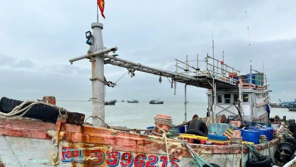 Phương tiện được dẫn giải về vịnh Hòn La, tỉnh Quảng Trị. 