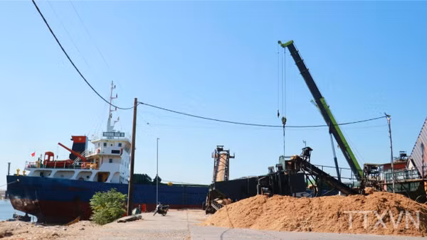 Sản phẩm dăm gỗ của Công ty Tiến Phong, xã Cửa Việt, tỉnh Quảng Trị được chuyển lên tàu để xuất khẩu. (Ảnh: TTXVN)