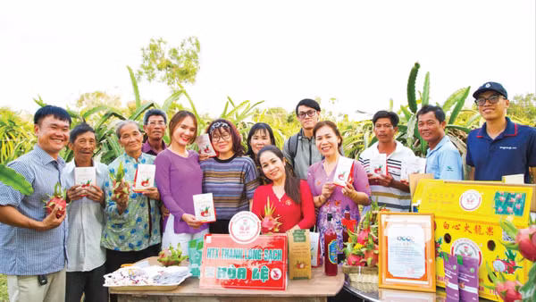 Trái thanh long Lâm Đồng được nâng tầm với quy trình tiêu chuẩn, sản phẩm đa dạng và bao bì hấp dẫn.