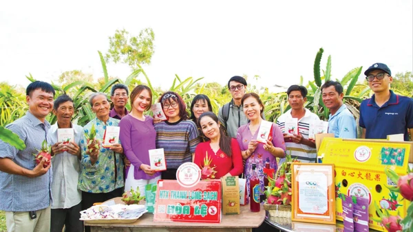 Trái thanh long Lâm Đồng được nâng tầm với quy trình tiêu chuẩn, sản phẩm đa dạng và bao bì hấp dẫn.