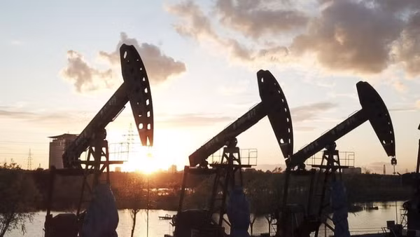 (Ảnh minh họa: THX/TTXVN)