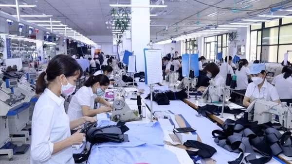 Đóng bảo hiểm xã hội cho người lao động là nghĩa vụ của các đơn vị sử dụng lao động. (Ảnh: MINH DUYÊN)