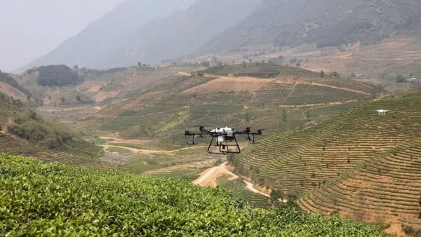 Sử dụng thiết bị bay không người lái (drone) trong sản xuất nông nghiệp trên địa bàn tỉnh Lai Châu. (Ảnh: MINH ANH)