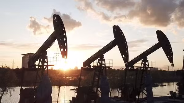 Ảnh minh họa. (Ảnh: THX/TTXVN)