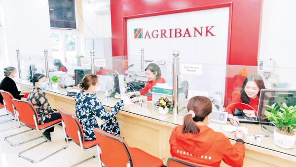 Khách hàng giao dịch tại chi nhánh Ngân hàng Agribank.