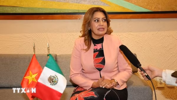 Hạ nghị sĩ Ana Karina Rojo Pimentel, Chủ tịch Ủy ban Phúc lợi Hạ viện đồng thời là Chủ tịch Nhóm Nghị sĩ Hữu nghị Mexico-Việt Nam trả lời phóng viên TTXVN tại địa bàn. (Ảnh tư liệu: Phi Hùng/TTXVN)