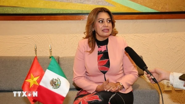 Hạ nghị sĩ Ana Karina Rojo Pimentel, Chủ tịch Ủy ban Phúc lợi Hạ viện đồng thời là Chủ tịch Nhóm Nghị sĩ Hữu nghị Mexico-Việt Nam trả lời phóng viên TTXVN tại địa bàn. (Ảnh tư liệu: Phi Hùng/TTXVN)