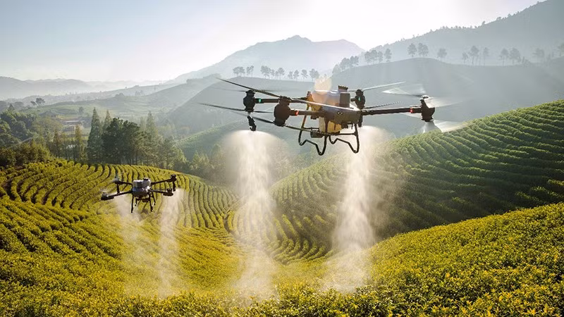 Drone được sử dụng hiệu quả trong nông nghiệp. Ảnh | Agridrone