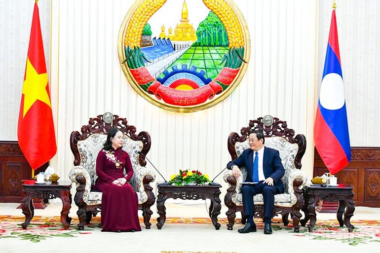 Thủ tướng Chính phủ Lào Sonexay Siphandone tiếp Phó Chủ tịch nước Võ Thị Ánh Xuân. (Ảnh: HẢI TIẾN) ndo_br_2.jpg