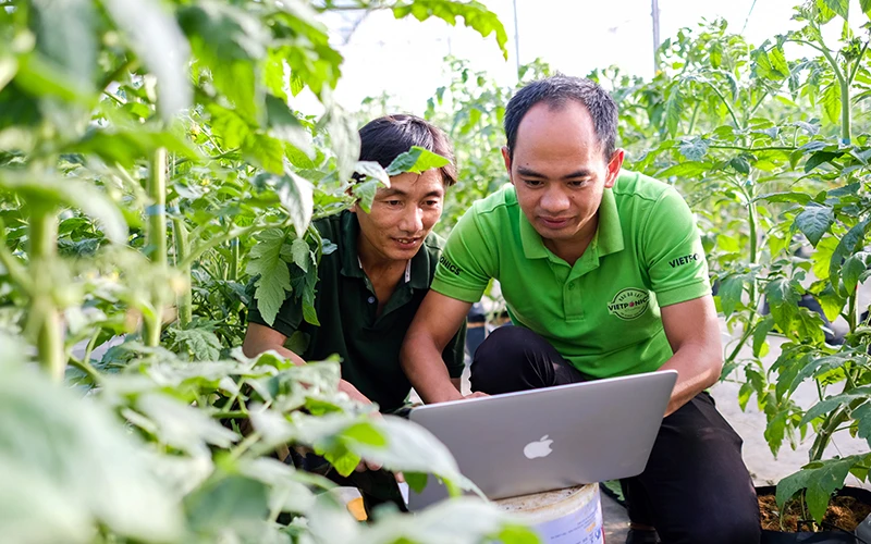 Giám đốc HTX Dịch vụ nông nghiệp Thủy canh Việt (TP Đà Lạt, Lâm Đồng) Nguyễn Đức Huy (bên phải) hướng dẫn người dân áp dụng hệ thống quản trị vườn qua máy tính. Ảnh: Mai Văn Bảo