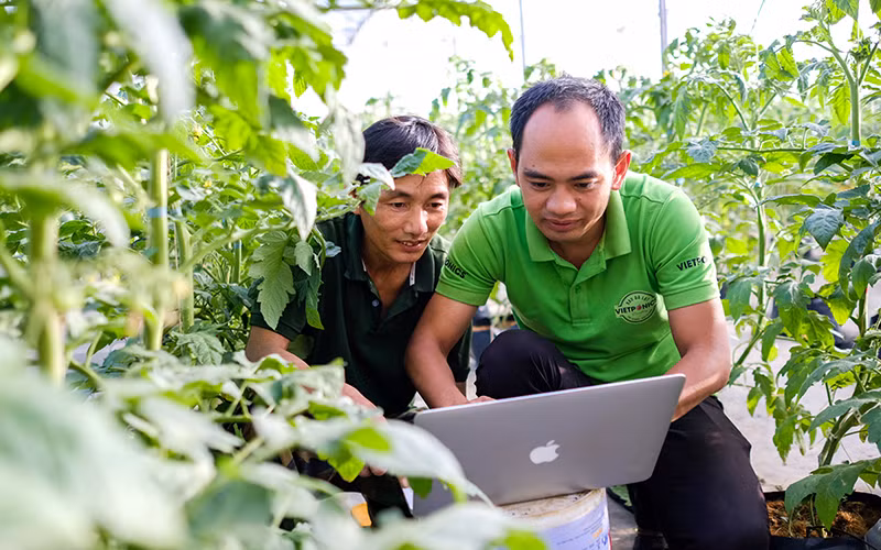 Giám đốc HTX Dịch vụ nông nghiệp Thủy canh Việt (TP Đà Lạt, Lâm Đồng) Nguyễn Đức Huy (bên phải) hướng dẫn người dân áp dụng hệ thống quản trị vườn qua máy tính. Ảnh: Mai Văn Bảo