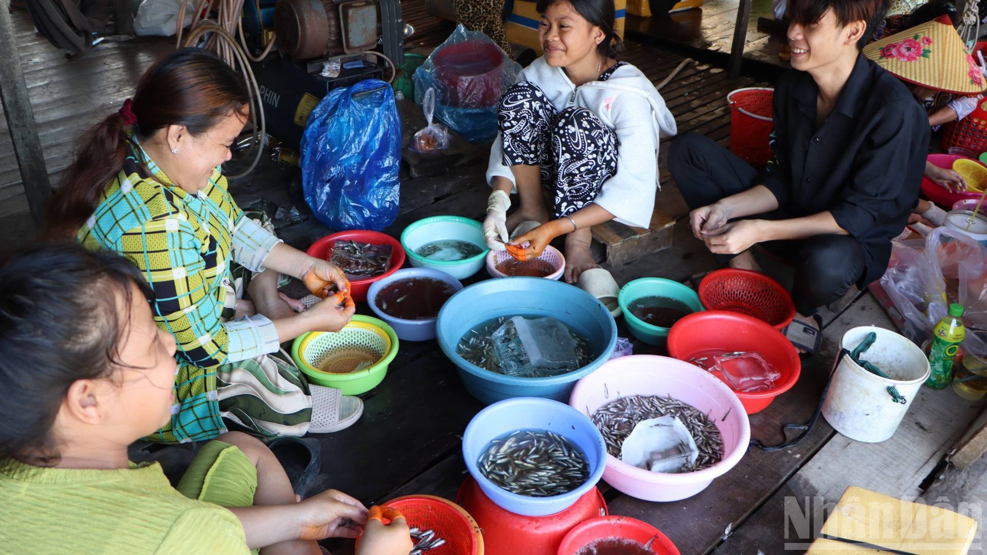 Trẻ em tham gia làm cá linh kiếm thêm thu nhập phụ gia đình. ndo_br_a3.jpg