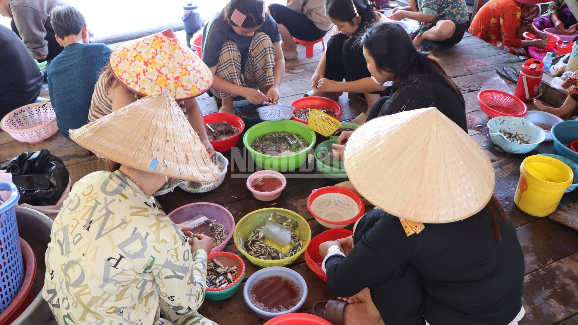 Phụ nữ vùng nông thôn làm cá linh non kiếm thêm thu nhập. ndo_c_a1-1.jpg
