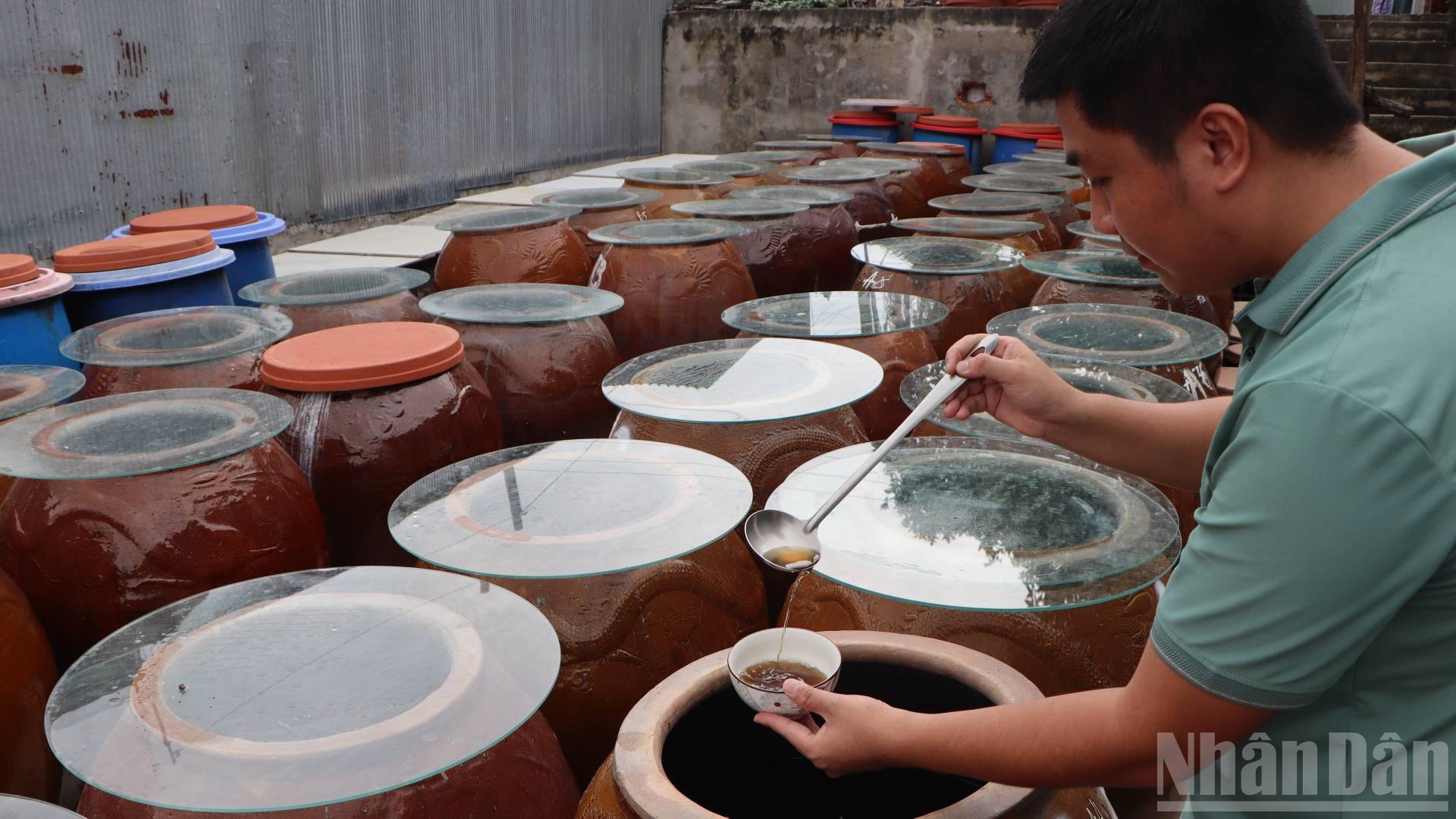 Chế biến nước mắm cá linh theo truyền thống. ndo_br_a4.jpg