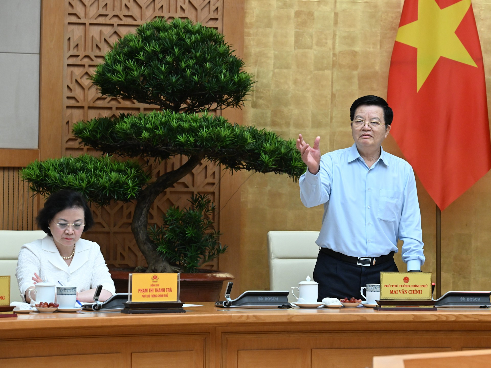 Visestatsminister Mai Van Chinh taler på møtet. dsc-7947.jpg