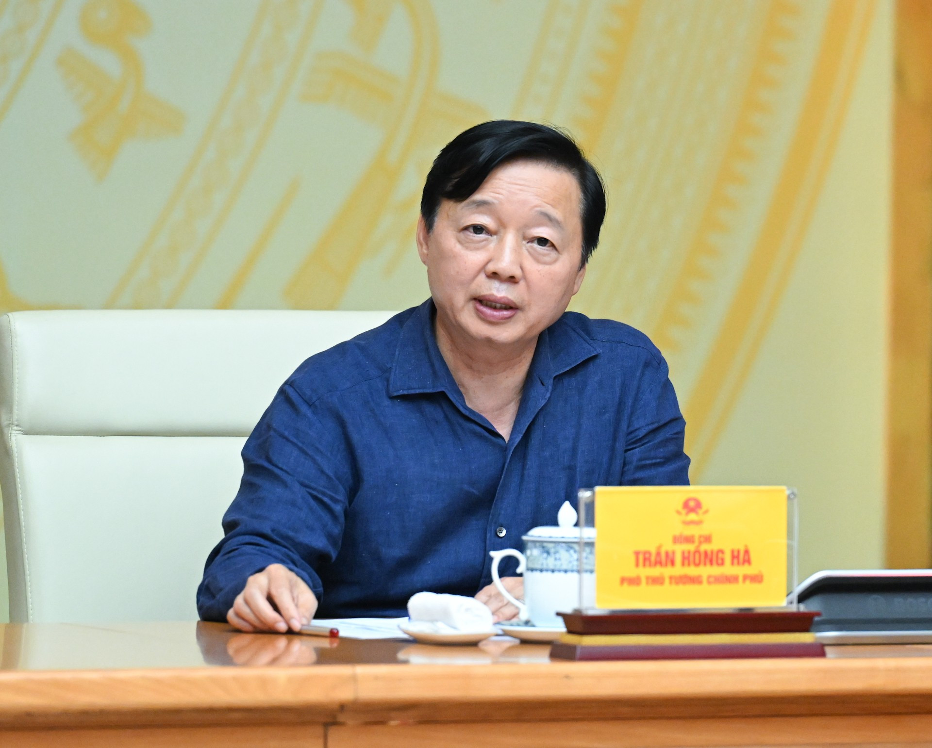 Phó Thủ tướng Trần Hồng Hà phát biểu tại phiên họp. dsc-9150.jpg