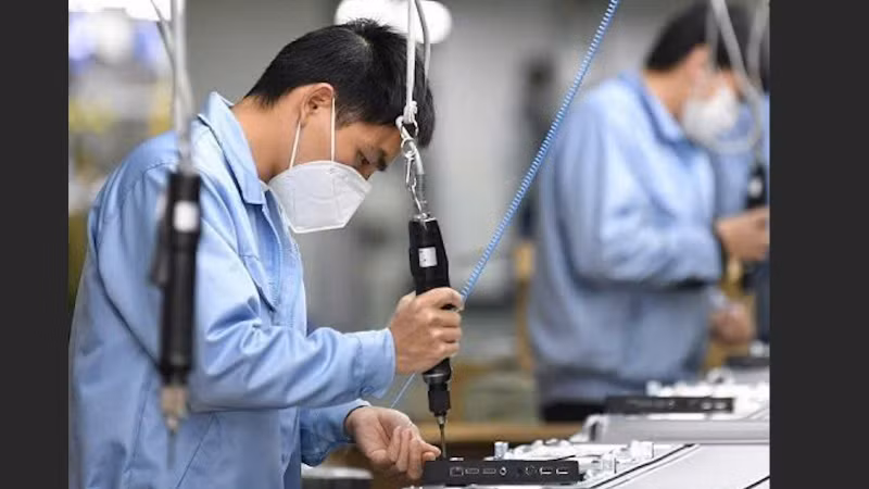 Gần 50% lao động Việt Nam ở nước ngoài đang làm việc tại Nhật Bản