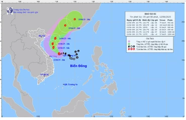 Bản đồ dự báo bão.