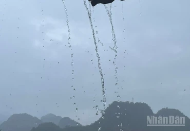 Lào Cai và Tuyên Quang có mưa rào, có nơi trên 80mm. (Ảnh minh họa: Đ.T)