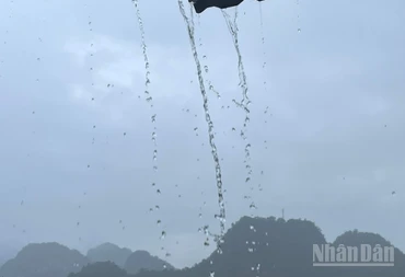 Dự báo khu vực Tây Bắc có mưa vừa, mưa to, có nơi mưa rất to. (Ảnh minh họa: Đ.T)