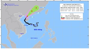 Bản đồ dự báo quỹ đạo và cường độ bão số 1 lúc 14 giờ ngày 14/6/2025.