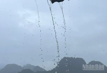 (Ảnh minh họa: Đ.T)