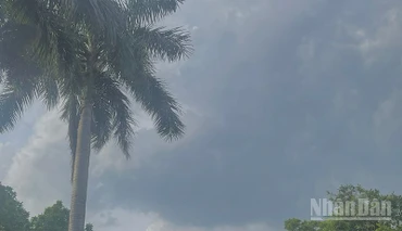 Dự báo khu vực Bắc Bộ và Thanh Hóa đến Hà Tĩnh có mưa rào và dông. (Ảnh minh họa: Đ.T)