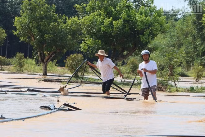 Người dân khắc phục thiên tai.