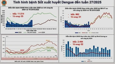 Thống kê diễn biến ca mắc sốt xuất huyết tại Thành phố Hồ Chí Minh.