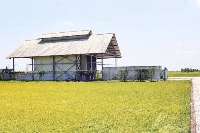 Dự án kho lạnh thông minh đạt tiêu chuẩn châu Âu tại xã Bình Phú đã khánh thành hơn 4 năm vẫn chưa đưa vào khai thác sử dụng.