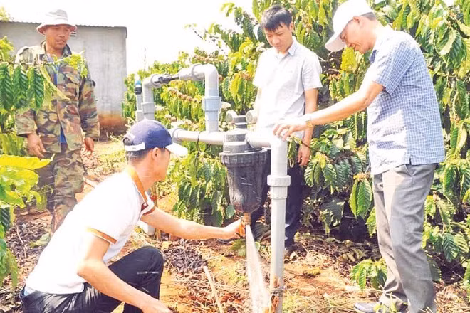 Nhà nông Lâm Đồng ứng dụng công nghệ tưới trong sản xuất nông nghiệp.