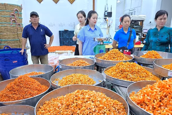 Tôm khô là một trong nhiều mặt hàng OCOP nỗi tiếng tại vùng nông thôn Cà Mau, quy tụ nhiều doanh nghiệp khởi nghiệp thành công.