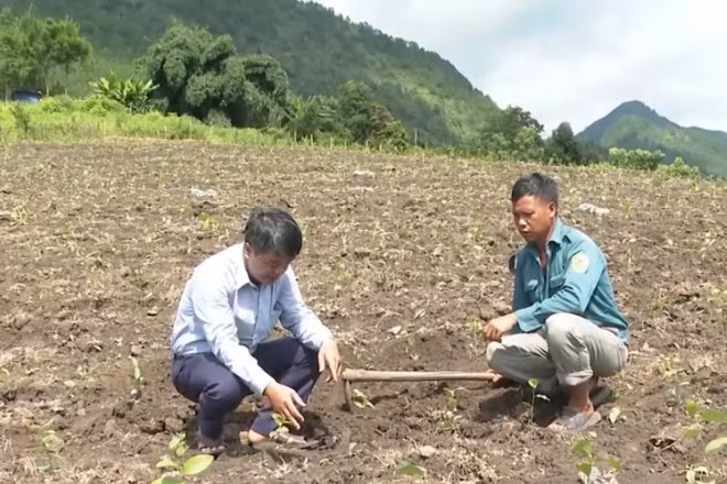 Cán bộ xã thường xuyên xuống cơ sở hướng dẫn người dân phát triển kinh tế tăng tiêu chí giảm nghèo