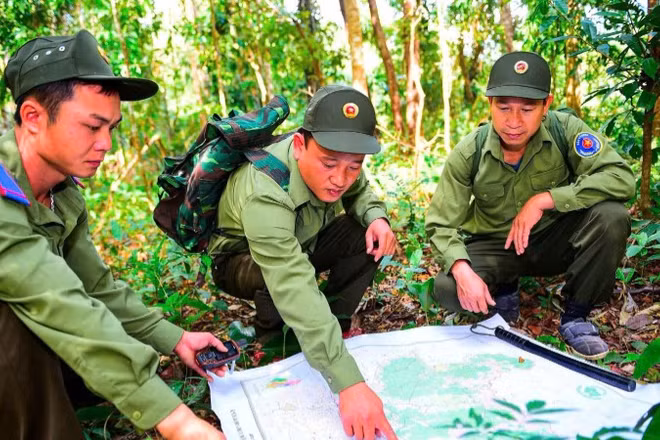 Tỉng Quảng Ngãi tăng cường các giải pháp bảo vệ và phát triển rừng bền vững.