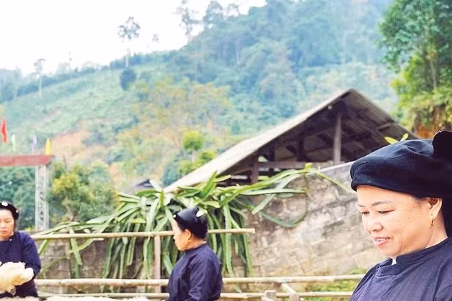Người dân thôn Bình Minh phơi miến dong.