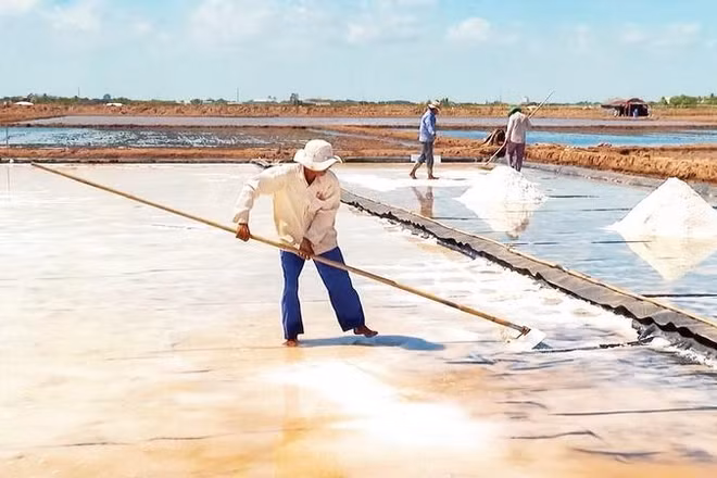 Người dân phường Vĩnh Phước cải tạo lại ruộng muối để chuyển sang nuôi Artemia.