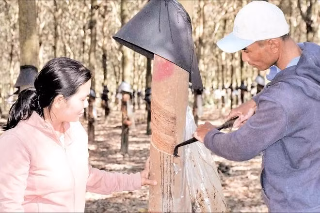 Người dân xã Đăk Rơ Wa được tập huấn kỹ thuật, giúp nâng cao năng suất cây trồng.