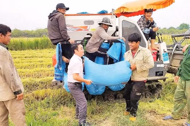 Niềm vui được mùa của người dân xã Ia Mơ.