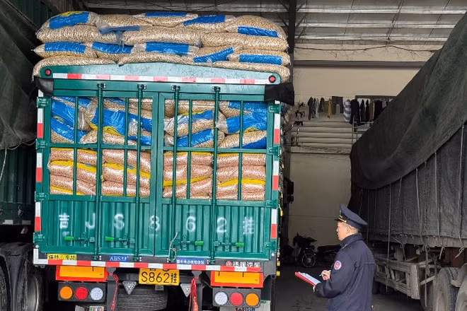 Công chức hải quan làm thủ tục cho hàng hóa nhập khẩu.