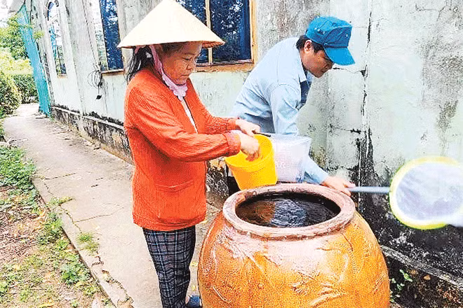 Người dân xã Trần Đề diệt loăng quăng chống dịch.