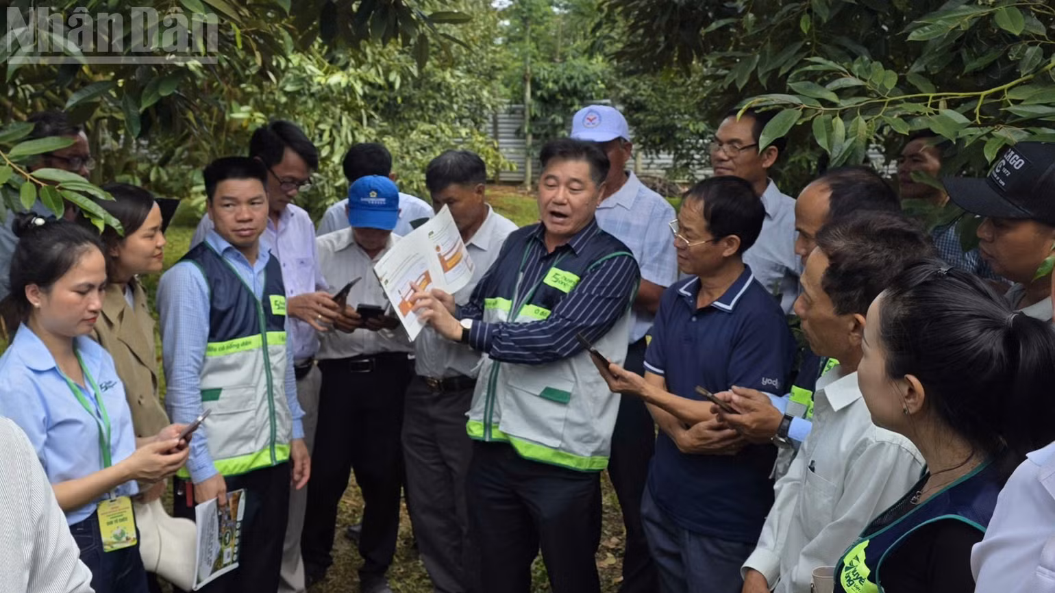 ndo_tl_trung-tam-khuyen-nong-quoc-gia-tap-huan-huong-dan-quy-trinh-san-xuat-cay-sau-rieng-an-toan-theo-tieu-chuan-chat-luong-tai-tinh-dak-lak-3041.jpg