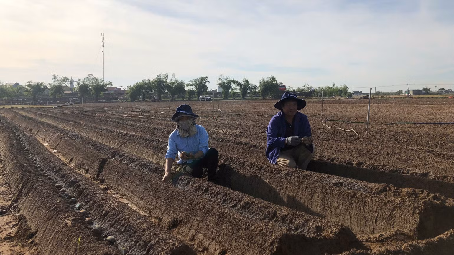 ba-con-nong-dan-thanh-pho-hai-phong-trong-khoai-tay-trong-vu-dong-4190.jpg
