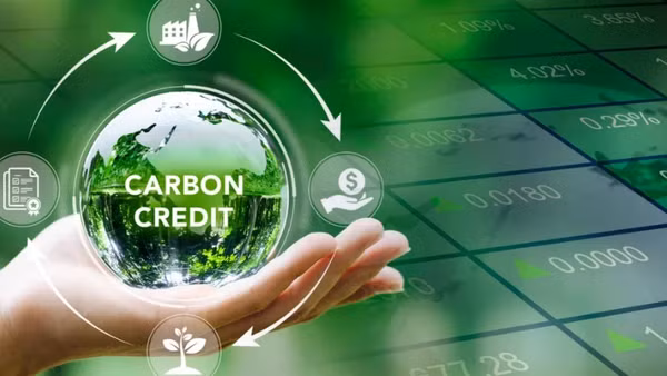 Việt Nam cam kết phát thải ròng bằng "0" vào năm 2050. (Ảnh: Netzero.vn)
