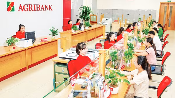 Giao dịch khách hàng tại Agribank chi nhánh Bắc Thanh Hóa.