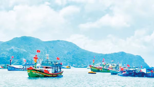 Tàu thuyền của ngư dân tấp nập ở cầu cảng Côn Đảo. (Ảnh PHẠM MỘNG)