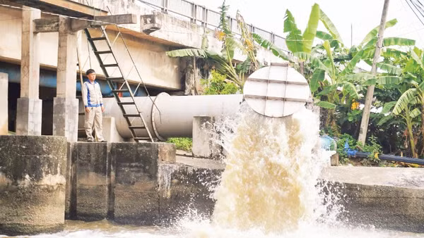 Vận hành hệ thống thủy lợi ngăn mặn, trữ ngọt phục vụ sản xuất nông nghiệp trên địa bàn Tây Ninh.