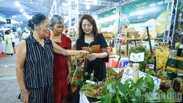Sâm Ngọc Linh tiếp cận gần hơn với người tiêu dùng.