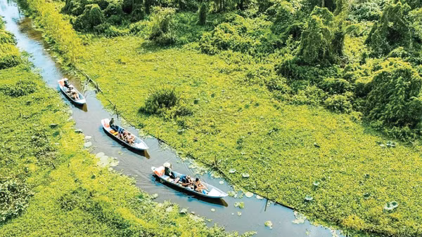 Du khách tham quan Rừng tràm Trà Sư, An Giang. (Ảnh: TRA SU TOURIST AREA)