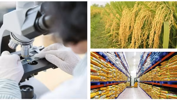Xây dựng thương hiệu quốc gia để nông sản Việt gia tăng giá trị bền vững
